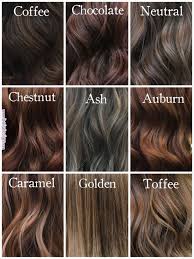 Shades Of Brunette Milenashairdesign Hairinspiration Chocolatehair Coffeehair Ashbrownhair Chestnuthair Auburn Coffee Hair Cool Hair Color Chestnut Hair