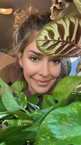 Hiding items in plants for joy and decoration