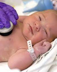 How To Use Evening Primrose Oil To Induce Labor Wehavekids