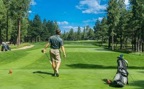 대상자별 사전예약 시기에 다시 안내드리겠습니다. ê³¨ë¦°ì´ ëœ» Golf Beginner