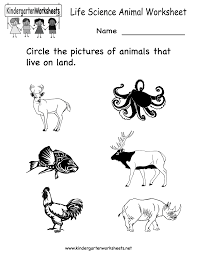 Science Printables For Kids Life Science Animal Worksheet Free Kindergarten Learning Worksheet Science Worksheets Animal Worksheets Kindergarten Science