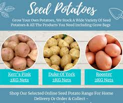 Potatoes can be simple to store for use for months delicious! Raemoir Garden Centre Grow Your Own Potatoes Shop Our Selected Range Of Seed Potatoes Via Our Online Store For Home Delivery Or Order Collect In Store Https Raemoir Garden Centre Myshopify Com Collections Seed Potatoes Facebook