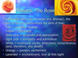 We did not find results for: 35 Trends For What Does Blue Roses Mean Alice T Jones