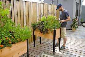 Attaches to window via suction cups. Herb Garden Designs With Plant Lists Gardener S Supply