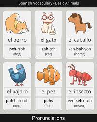 How To Say Basic Animals Names In Spanish Video Korean Language Korean Lessons Korean Words Learning