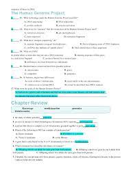 14.1 human chromosomes answer key pdf. Chapter14worksheets