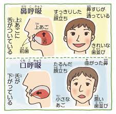 口呼吸は歯並び悪くなる 歯並び 自由研究 心理学