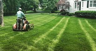 Outdoor power equipment dealership for residential & commercial needs Lawn Care Services St Louis Mo Schedule An Estimate