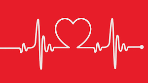 Image result for heart