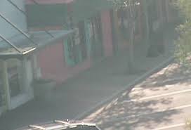 We did not find results for: Webcam Dunedin Florida Downtown Dunedin Florida