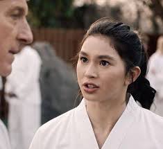 Cobra Kai: Karatêpostagem