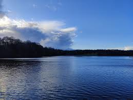 Oneplus 9 series is set to launch on march 23. Nafjblaxc8vf8m