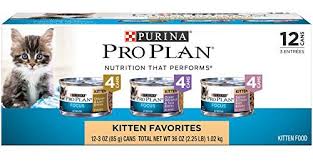 Kittens grow at a rapid rate. Best Kitten Food 2021 Top Rated Kitten And Cat Foods Reviewed