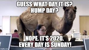 Find the newest hump day camel meme meme. Hump Day Camel Memes Gifs Imgflip