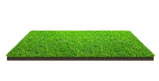 Free shipping on many items | browse your favorite brands | affordable prices. Grass Texture Images Free Vectors Stock Photos Psd