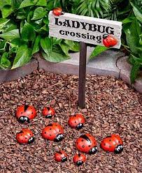 Simple Rock Garden Decor Ideas For Front And Back Yard 15 Ladybug Garden Fairy Garden Diy Rock Garden Landscaping