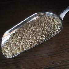 Homemade Diastatic Malt Learn How To Make Malt For Better Breads
