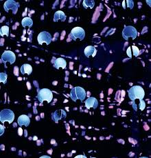 Image result for Blandford Violet 1968 Fleet