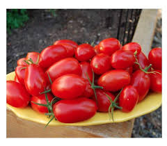 Smsf master gardeners plant librarya database of plants suited to microclimates of san mateo & san francisco counties. Juliet Tomato Seeds Rare Hybrid Of Plum And Roma Tomatoes Delicious Sweet Snack Marde Ross Company Buy Online In Dominica At Dominica Desertcart Com Productid 117883600