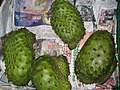 Nama bayi perempuan belanda ini bisa menginspirasi parents memilih nama untuk si kecil, cek yuk! Durian Belanda Wikipedia Bahasa Melayu Ensiklopedia Bebas