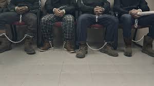 Netflix is never going to stop churning out massive amounts of new and returning original movies and shows. Immigration Nation Netflix Official Site