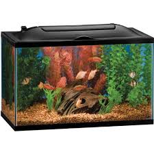 Review Of Marineland Biowheel 10 Gallon Aquarium Kit Led Light