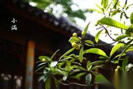 The website collected by this website comes from the. å°æ»¿æ˜¯ä»€éº¼æ„æ€å•Šå°æ»¿æ˜¯ä»€éº¼å­£ç¯€ æ™‚å°šå†¬