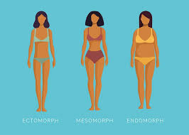 The four women body types are each completely different. Body Type Quiz Are You An Endomorph Ectomorph Or Mesomorph Everyday Health