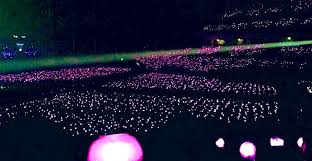Nagpur army bts anniversary meet 2019. Anniversary Ke 7 12 Fakta Menarik Army Fandom Bts Yang Dermawan