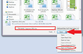 Resolving Excel Error File Error Data May Have Been Lost Excel Data Microsoft Excel