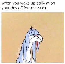 When You Try To Sleep Until Noon And This Happens Sleepy Meme Memes Bugs Bunny