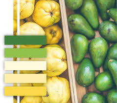 Check spelling or type a new query. 10 Food Themed Color Palettes For Your Branding Inspiration Mariah Althoff Graphic Design Freelancing Tips