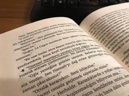 Şibumi güzelliğin içerisindeki estetik, zenginliğin içerisindeki mütevazılık, kalabalığın içerisindeki münzevilik ve iletişimin en doğal, en güçlü halidir. Kitap Dostum Paylasmak Guzeldir