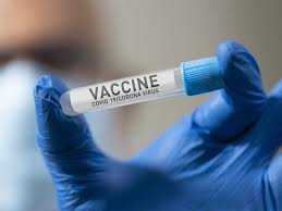 Other species which can also cause disease in humans include m. Bcg Vaccine Bcg Vaccine Used To Treat Tuberculosis Can Lower The Risk Of Contracting Covid Says Study The Economic Times