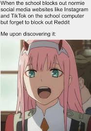 I Can Freely Use Reddit Now Animemes Anime Memes Funny Funny Anime Pics Funny Internet Memes