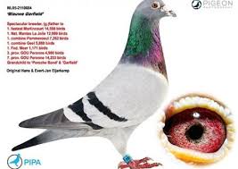 Check spelling or type a new query. Plant Erik Pipa