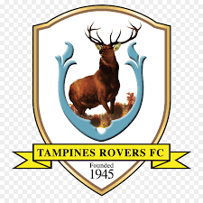We offer you to download wallpapers 4k, tampines rovers fc, emblem, singapore premier league, black stone, soccer, asia, football club, singapore, logo, tampines rovers, asphalt texture, fc tampines rovers from a set of categories sport necessary for the resolution of the monitor you for. Cartoon Football Png Download 800 890 Free Transparent Tampines Rovers Fc Png Download Cleanpng Kisspng