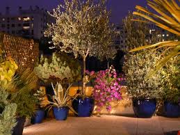 8 cuadro con plantas suculentas. Ideas Y Consejos Para Decorar Exteriores Con Plantas Y Flores Jardineria On