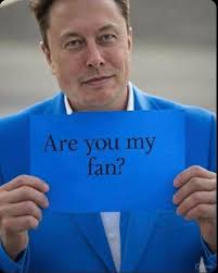 Toronto Maple Leafs Fans Disappointment and Frustration