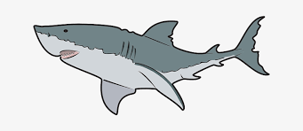 We did not find results for: Download Mako Shark Clipart Transparent Background Great White Shark Clipart Png Image With No Background Pngkey Com
