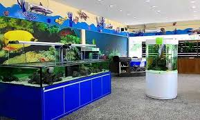 The downside is most information is only in malay, so this is a better option of things to do at port dickson if you speak malay. Top 21 Port Dickson Attractions No 4 6 14 Must Go