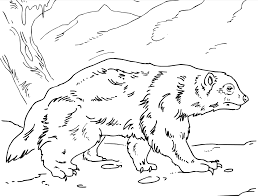 Following many requests, we've tracked down a few external links to dc and marvel superhero coloring pages. Mr Nussbaum Wolverine Coloring Page