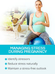 How mila kunis influenced ashton kutcher to sell back ticket he bought to go to space. Stress During Pregnancy Shecares