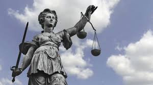 Image result for Justicia francoiseana