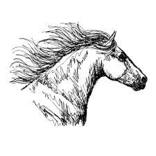 We hebben een enorme voorraad kleurplaten verzameld die je kan bekijken, opslaan en afdrukken. Kleurplaat Van Een Paard Printen Leuk Voor Kids