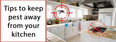 Rentokil pest control is part of rentokil initial — one of the world's largest providers of business services. Tips To Keep Pest Away From Your Kitchen Be Pest Free