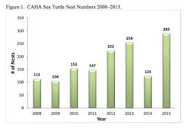 The largest nesting populations of hawksbill turtles occur in australia and solomon islands. 2015 Sea Turtle Annual Report Cape Hatteras U S National Park Service