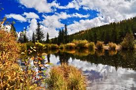 Tent camp on pristine private land. Red Feather Lakes Camping 8 Campgrounds And Cabins Insider Families