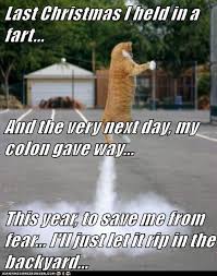 Pin On Friends Of The 2 4 Legged Nature