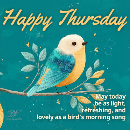 🌞 Happy Thursday! May your day be as light, refreshing, and ...